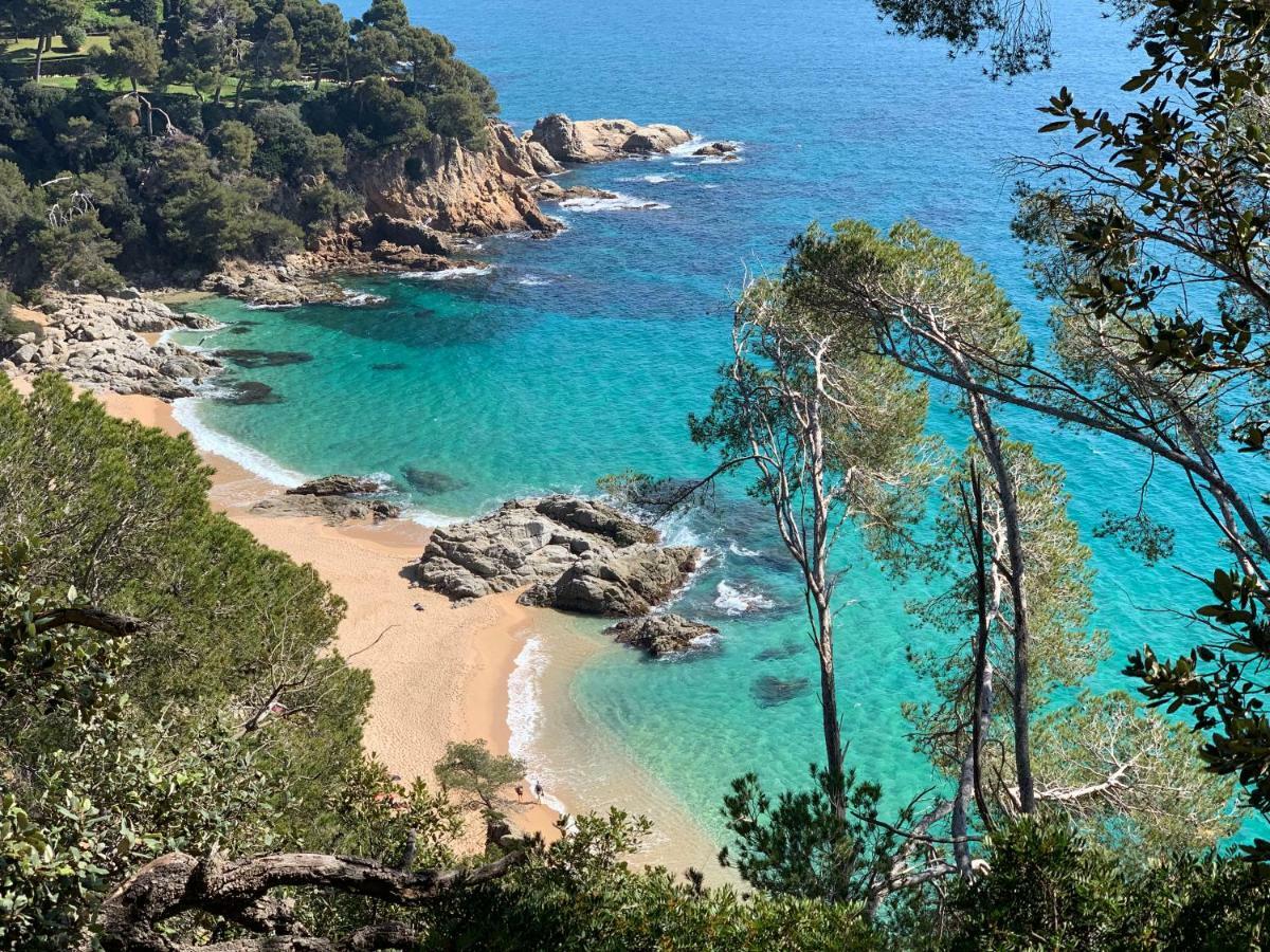Paradise Lloret