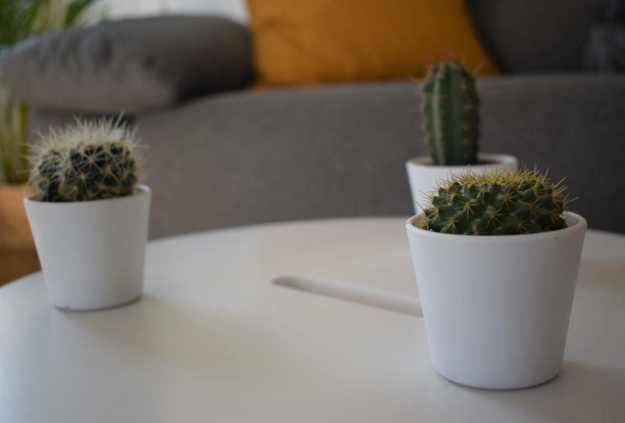 Apartamento La Pineda *
