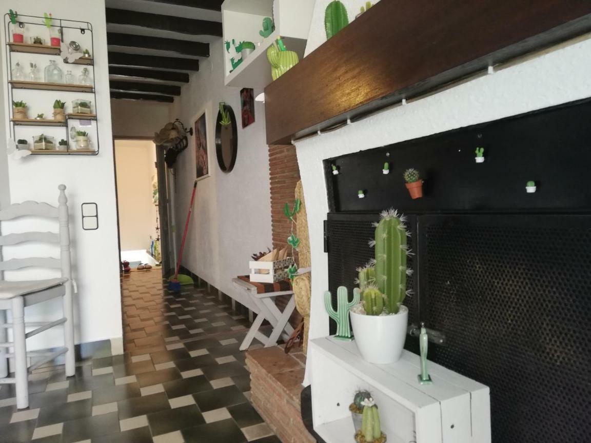 Apartment Cactus