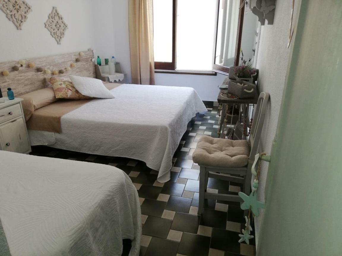 Cactus Apartment *