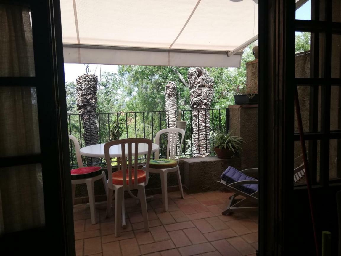 Apartamento Cactus
