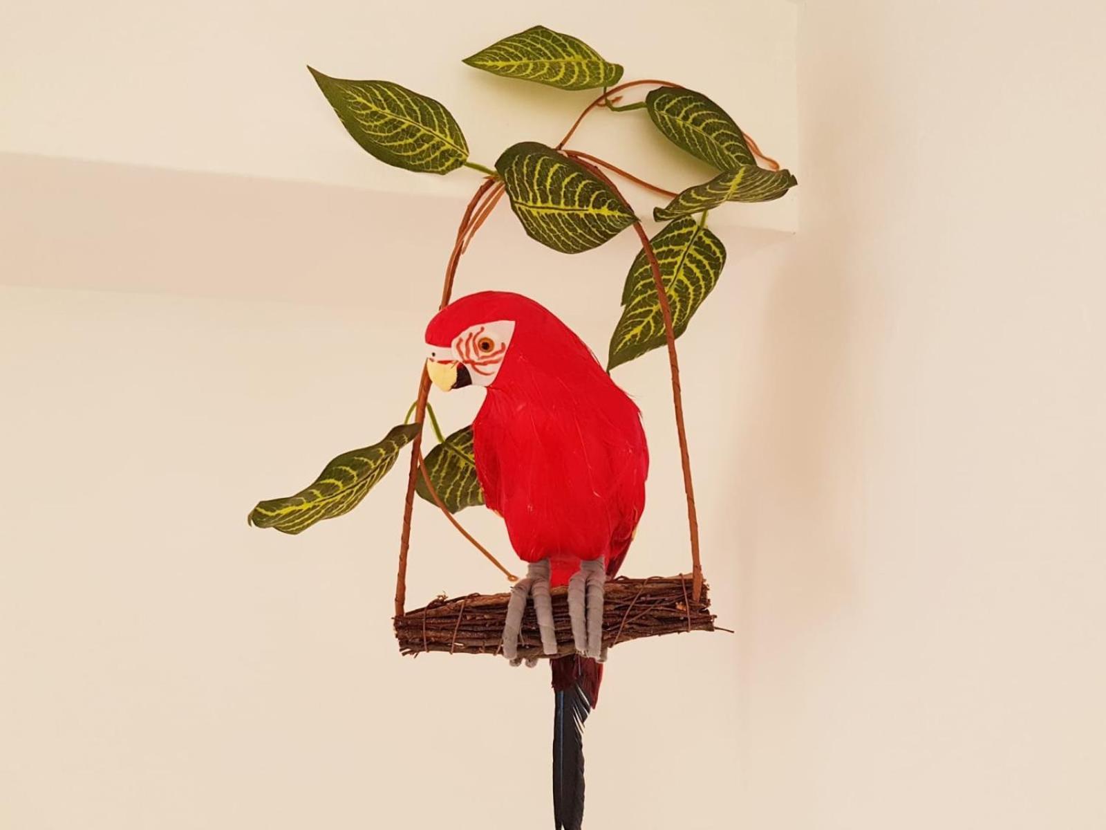 Apartment Parrot's House