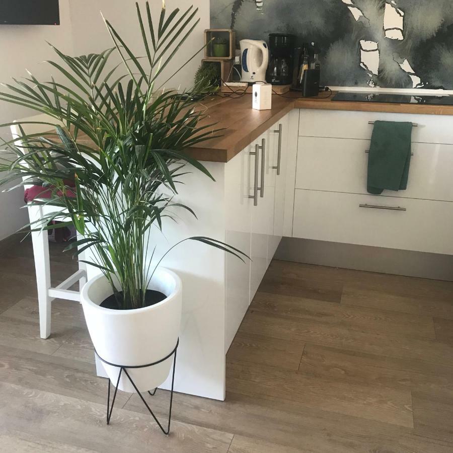 22b Puigmal D Apartment *