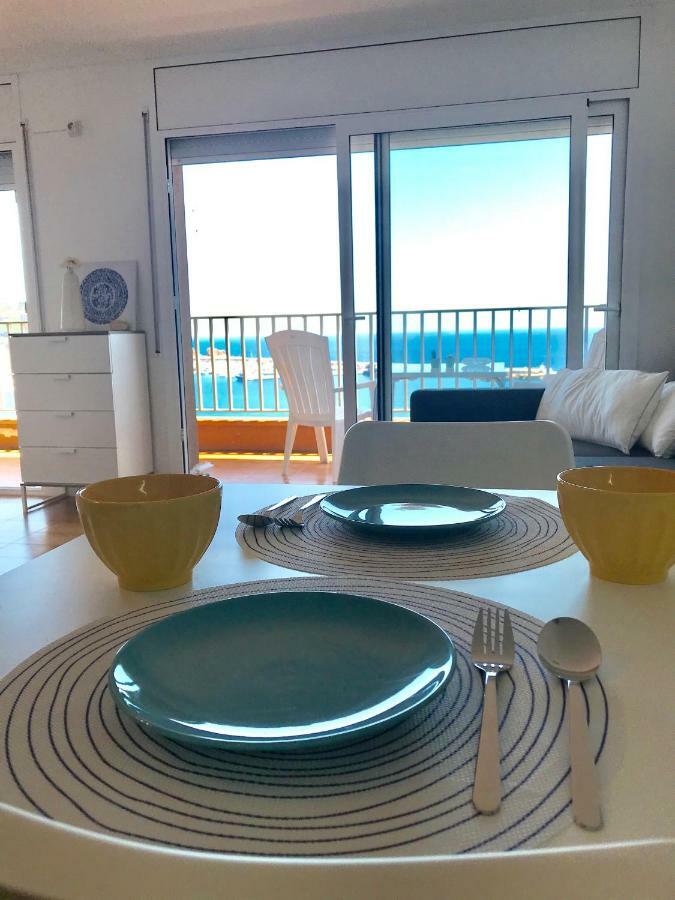 Elm Sant Feliu de Guíxols