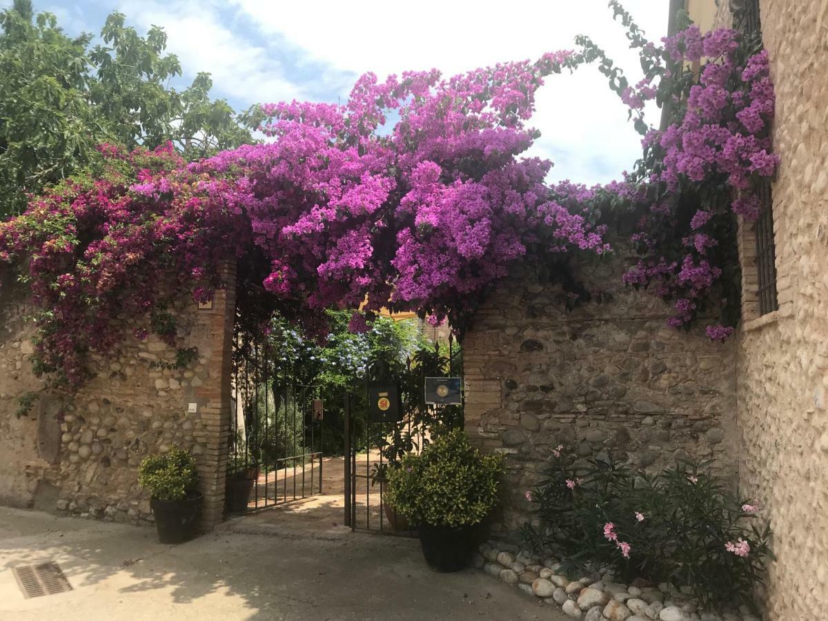 Niu Holiday home Saldet