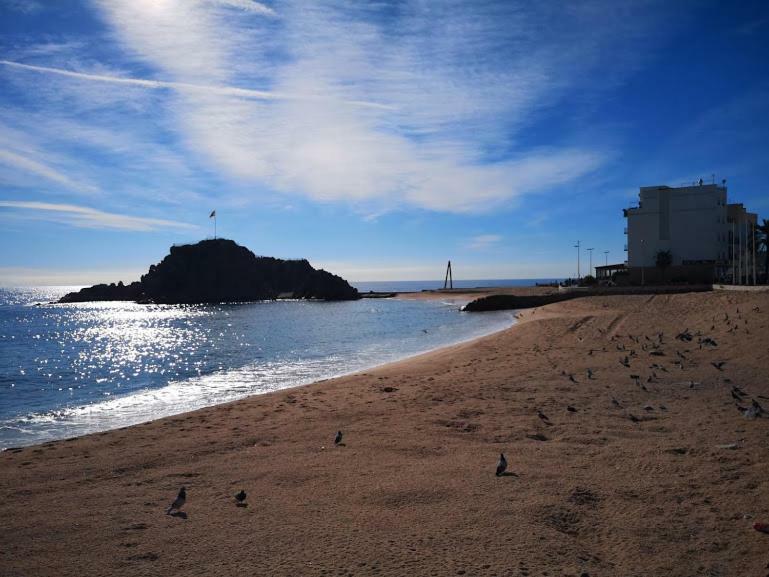 Apartamento Fantástico En El Centro De Y A 150mts De La Playa