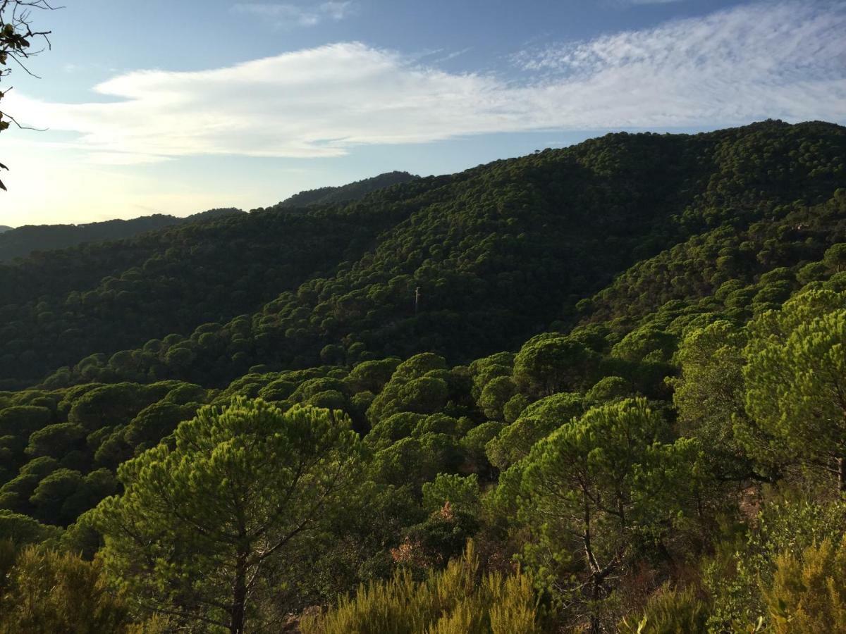 Cadiretes Holiday home Llagostera