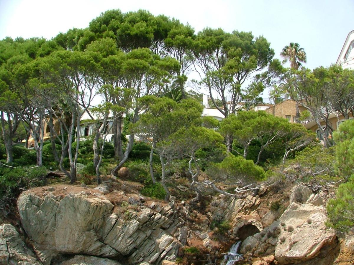 Apartment Cap Sa Sal Navy, Begur, Girona *
