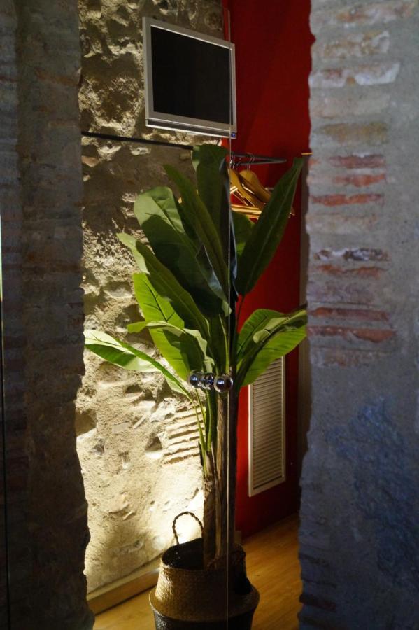 Apartment Onyar Rambla De La Llibertat 27 Girona
