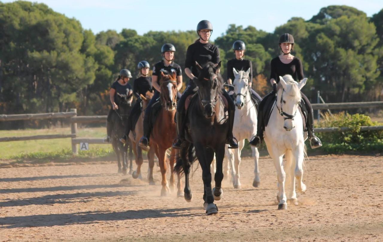 Agroturismo Hípica Mas Paguina