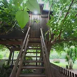Naturetreehouse Casa Sobre Los Arboles