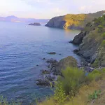 Margarida