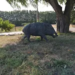 La Rajoleria para desconectar. Lloguer 30.
