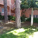 Bonito Apartamento, Con Piscina, Excelente Wifi Y Aire Acondicionado
