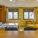 Estudio P