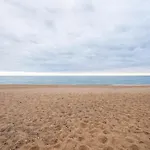 Loft Beach Blue