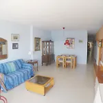 Aiguaneu Sa Palomera