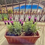 Casa Con Piscina Privada En Gualta, Can Blay