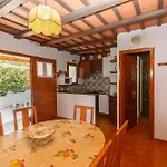 Calsina Bax 2H