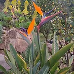 Villa Boheme Costa Brava