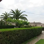 Les Palmeres 53