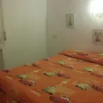 Apartament Cat