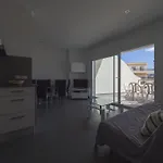 Inmosantos Oasis B8