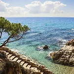 Bertur Gran Reserva Comte Empuries