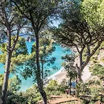 Camping Sunissim Cala Llevado 4* By Locatour