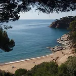 Danlux Moli 14