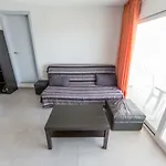 Palmeras 2.2/2.5