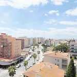 Bora 5-D