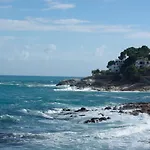 Estudis Laura