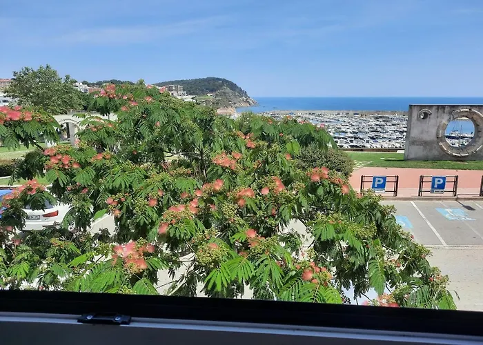 Un Sueno En Palamos