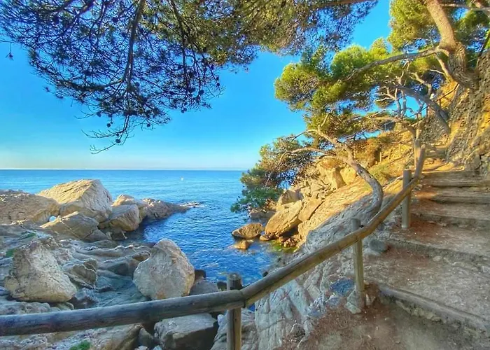 Joya oculta costa brava acceso directo playa wifiterraza Petfriendly