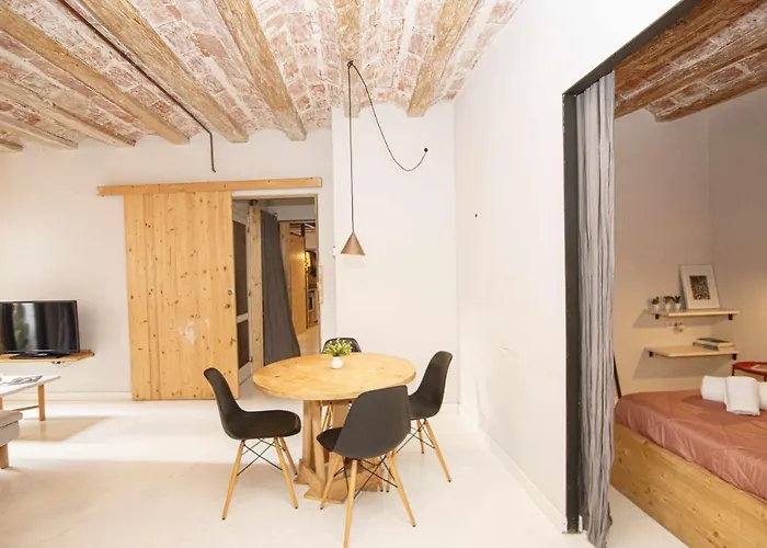 Apartamento Tr Auriga En El Barri Vell Girona