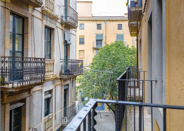 Apt 8 Geranio