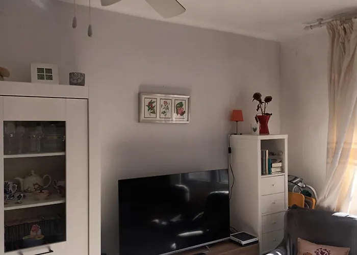 Habitacion Centrica Con Bano Privado