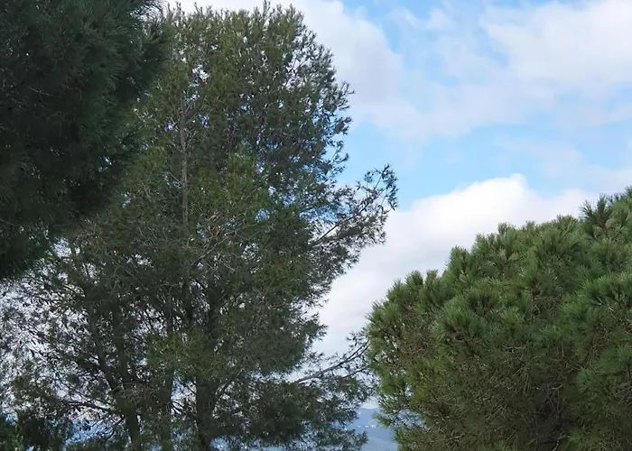 Apartament Roqueta