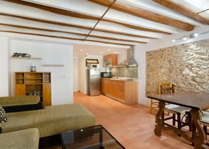 Practico Apartamento En El Casco Antiguo De Girona