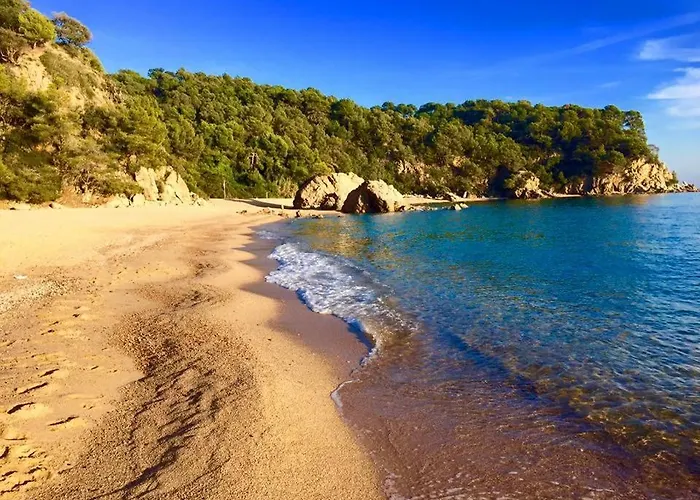 Private Apartments Cala Canyelles