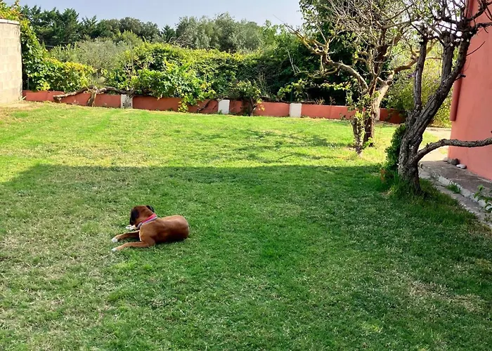 Descanso Del Guerrero