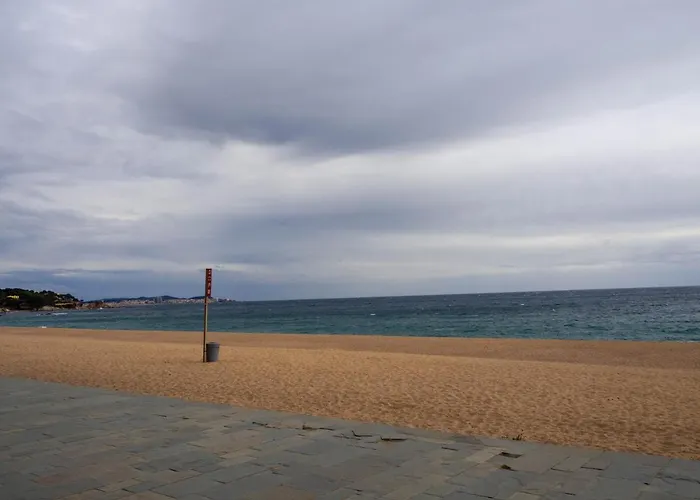 Embajador 1 Apartament Per 4 Persones A Primera Linia De Mar