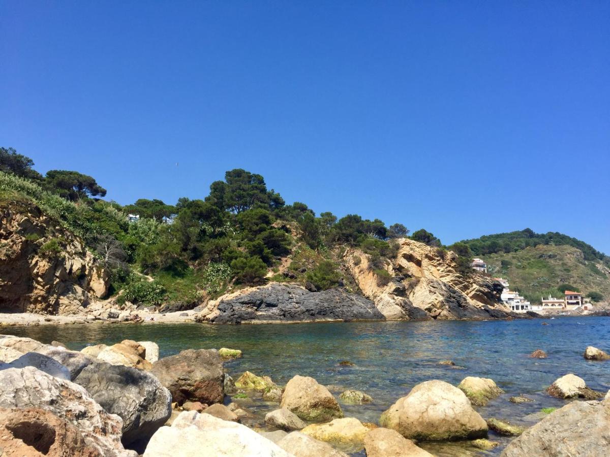 Preciós A Primera Línia De Mar * Palamós