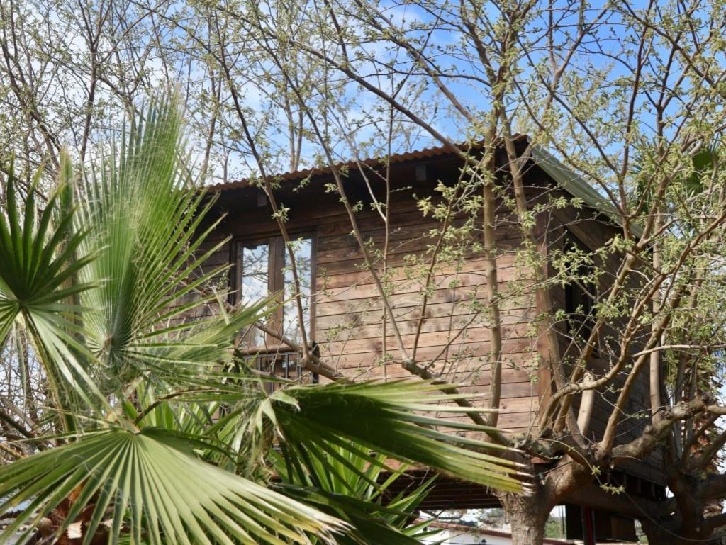 Naturetreehouse Casa Sobre Los Arboles Blanes