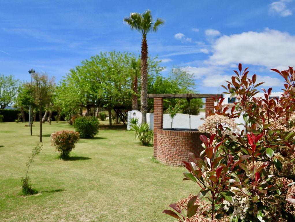 Naturetreehouse Casa Sobre Los Arboles Blanes