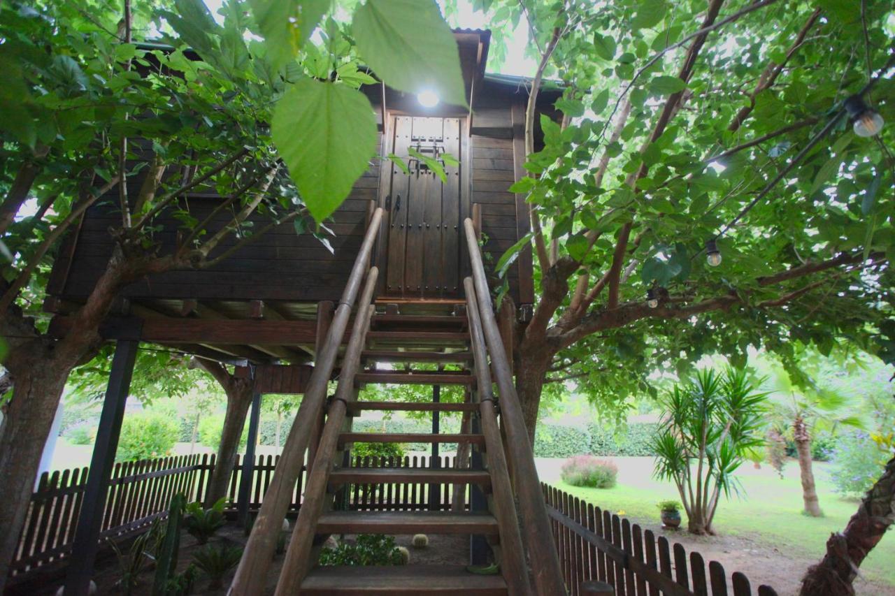 Naturetreehouse Casa Sobre Los Arboles Country house *