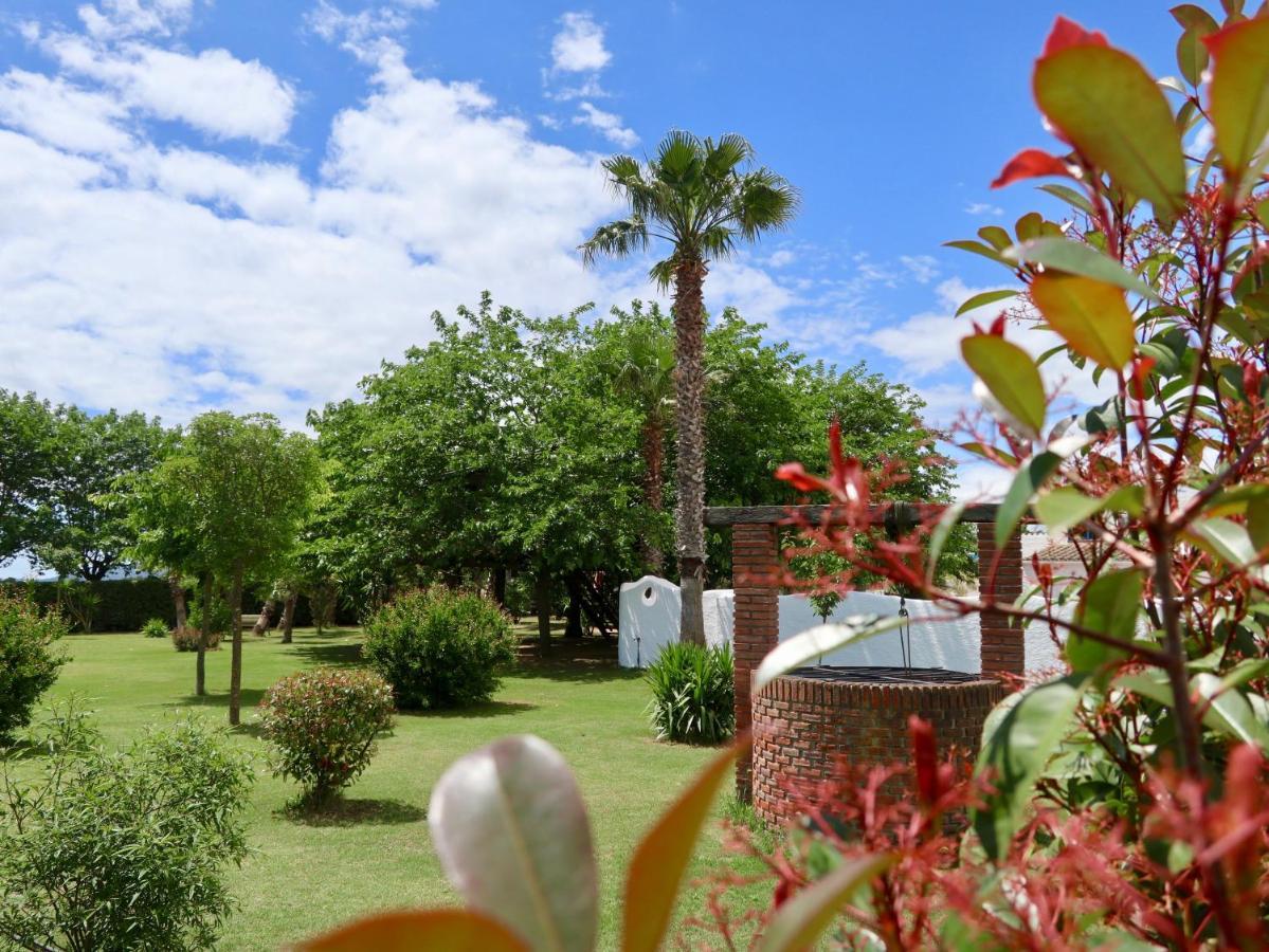 Naturetreehouse Casa Sobre Los Arboles * Blanes