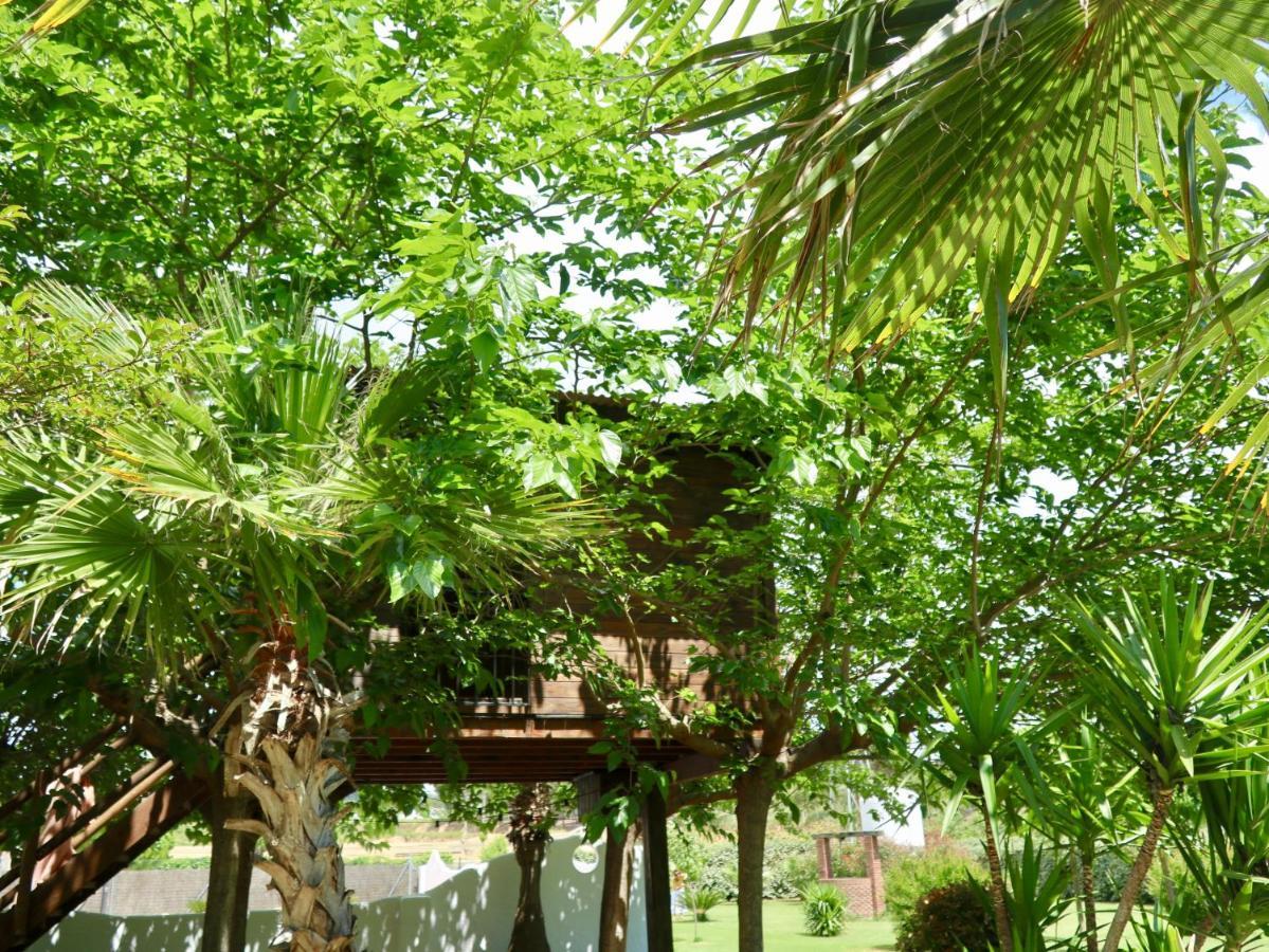 Naturetreehouse Casa Sobre Los Arboles Country house