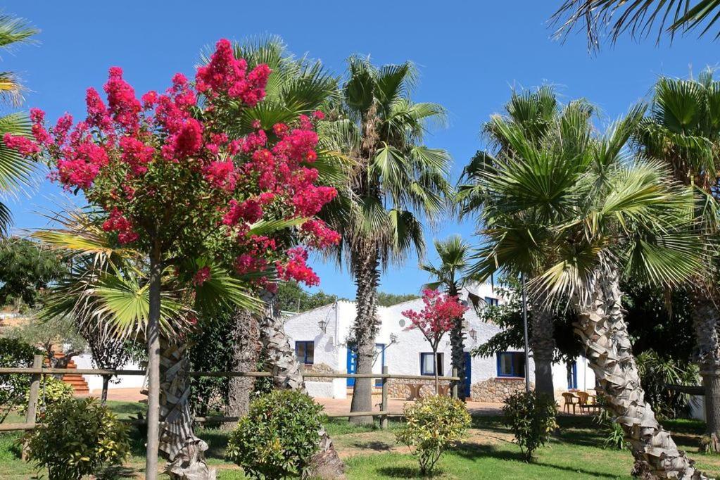 Naturetreehouse Casa Sobre Los Arboles Blanes